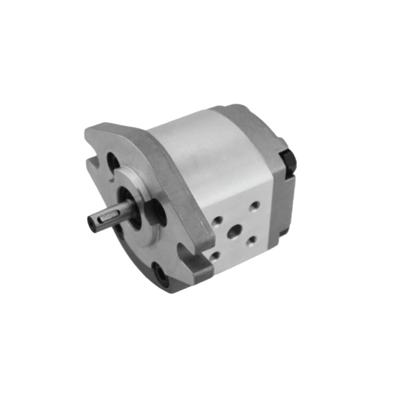 WKEA 齿轮泵 RGP-F323R